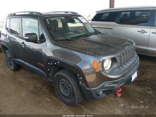 JEEP JEEP RENEGADE TRAILHAWK