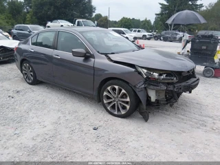 HONDA HONDA ACCORD SPORT