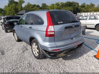 HONDA HONDA CR-V SE