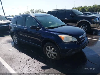 HONDA HONDA CR-V EX-L