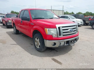 FORD FORD F-150 XLT