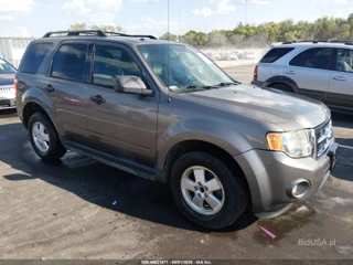 FORD FORD ESCAPE XLT