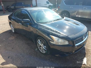 NISSAN NISSAN MAXIMA 3.5 S/3.5 SV