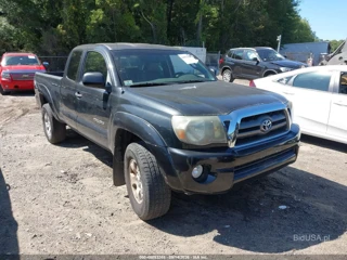 TOYOTA TOYOTA TACOMA BASE V6