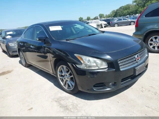 NISSAN NISSAN MAXIMA 3.5 SV