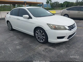 HONDA HONDA ACCORD SPORT