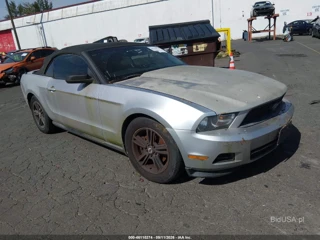 FORD FORD MUSTANG V6