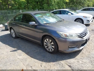 HONDA HONDA ACCORD EX-L V-6