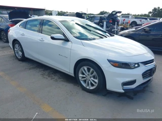 CHEVROLET CHEVROLET MALIBU 1LT