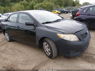 TOYOTA TOYOTA COROLLA LE