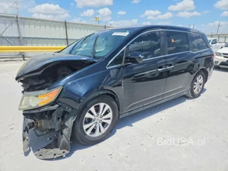 HONDA ODYSSEY EXL