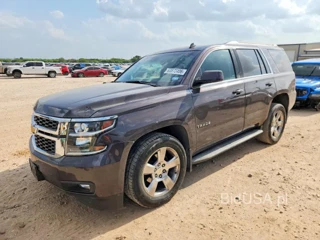 CHEVROLET TAHOE C1500 LT