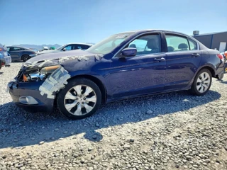 HONDA ACCORD EXL