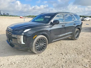 HYUNDAI PALISADE CALLIGRAPHY NIGHT EDITION