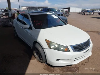 HONDA HONDA ACCORD 3.5 EX-L