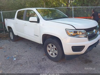 CHEVROLET CHEVROLET COLORADO WT