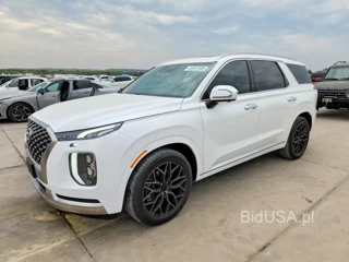 HYUNDAI PALISADE CALLIGRAPHY
