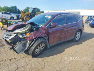 HONDA CR-V EX