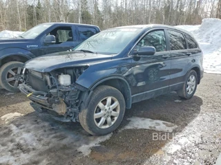 HONDA CR-V LX