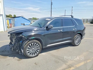 HYUNDAI PALISADE CALLIGRAPHY