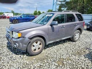 FORD ESCAPE XLT