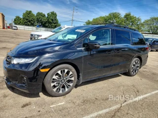 HONDA ODYSSEY ELITE