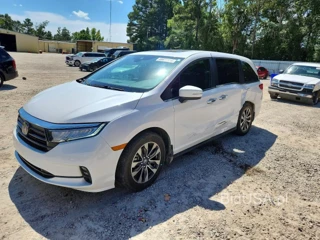 HONDA ODYSSEY EXL