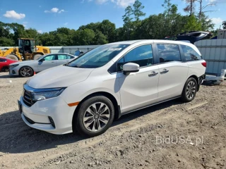 HONDA ODYSSEY EXL