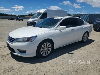 HONDA ACCORD EXL