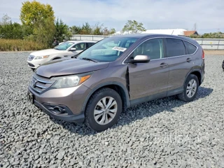 HONDA CR-V EX