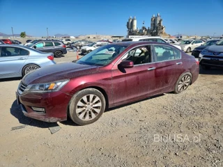 HONDA ACCORD EXL