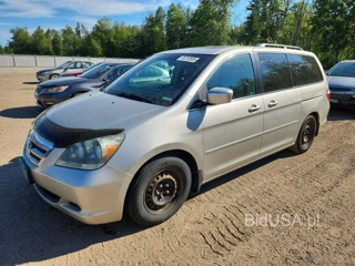 HONDA ODYSSEY EXL