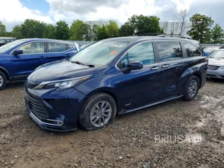 TOYOTA SIENNA XLE