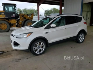 FORD ESCAPE SEL
