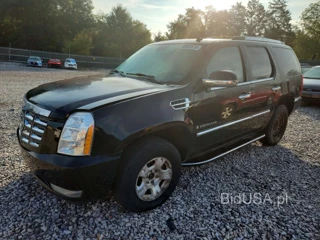 CADILLAC ESCALADE LUXURY