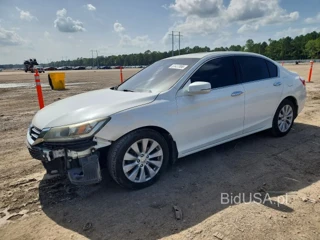 HONDA ACCORD EXL
