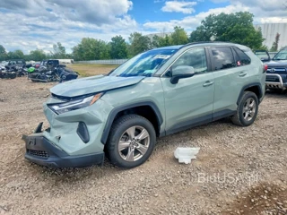 TOYOTA RAV4 XLE