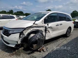 HONDA ODYSSEY EXL