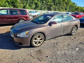 NISSAN MAXIMA 3.5 S