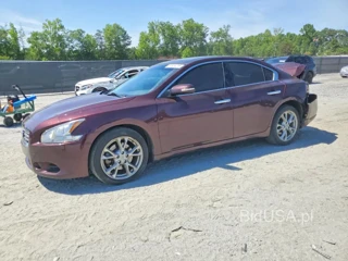 NISSAN MAXIMA 3.5 SV
