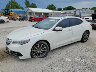 ACURA TLX