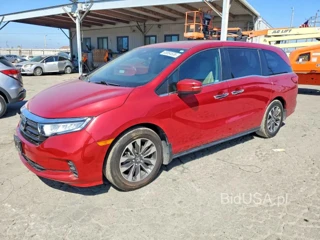 HONDA ODYSSEY EXL
