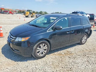 HONDA ODYSSEY EXL