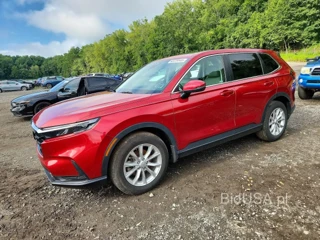 HONDA CR-V EXL