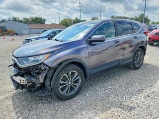 HONDA CR-V EX