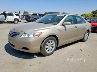 TOYOTA CAMRY HYBRID