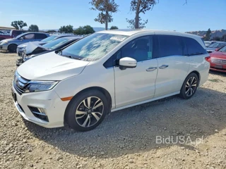HONDA ODYSSEY ELITE