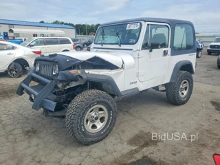 JEEP WRANGLER / YJ S