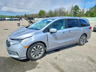 HONDA ODYSSEY EXL