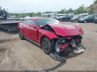 FORD FORD MUSTANG ECOBOOST FASTBACK